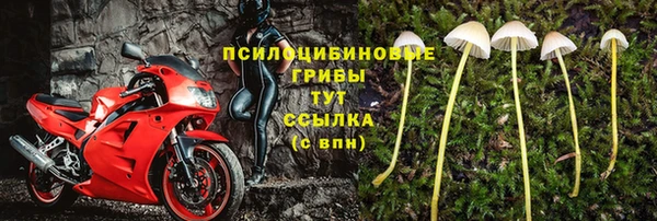 соль курить ск Краснослободск