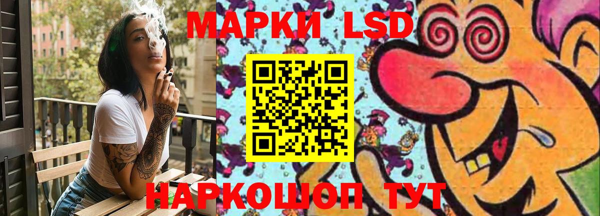 МЕФ Стерлитамак