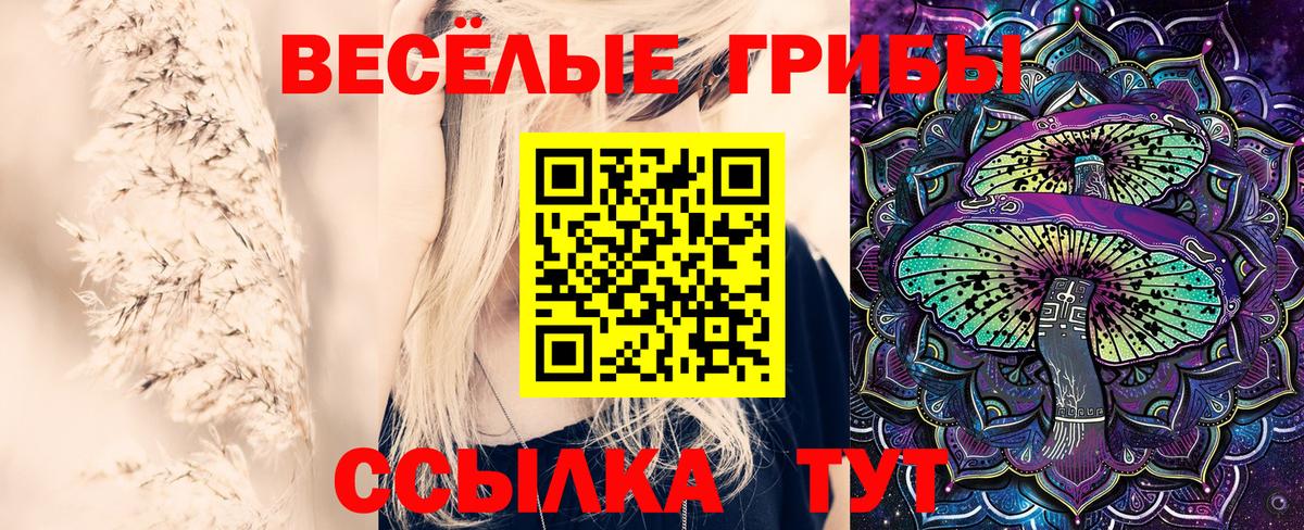 Галлюциногенные грибы ЛСД  Вход с VPN  Стерлитамак 